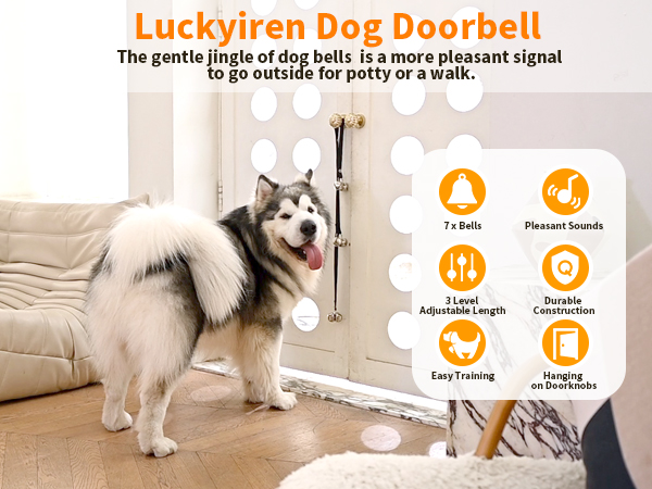 the dog touches the dog doorbell and waits for the owner to open the door