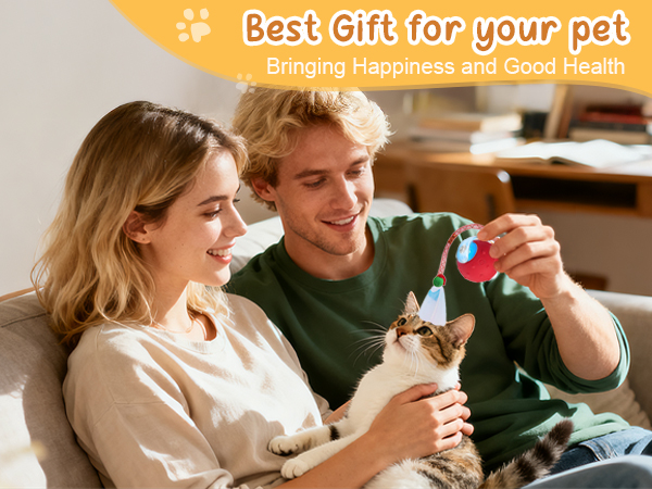 moving cat toys