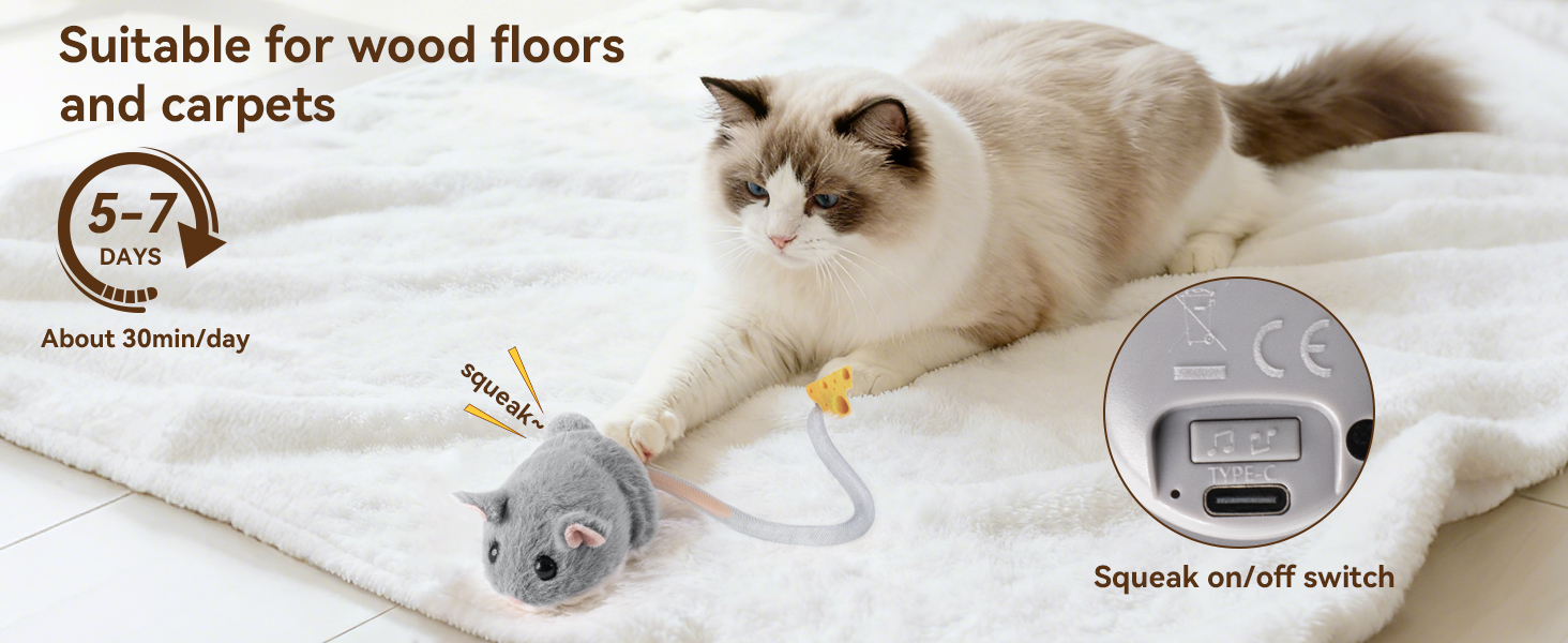 Fully charged can be played continuously for 3 hours' and 'Sound Switch'.
