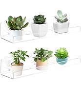 Bolidery 2 Pack Acrylic Window Shelf for Plants, 12 Inches Suction Cup Clear Indoor Plant Shelf,C...