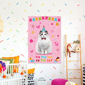 cat party decorations