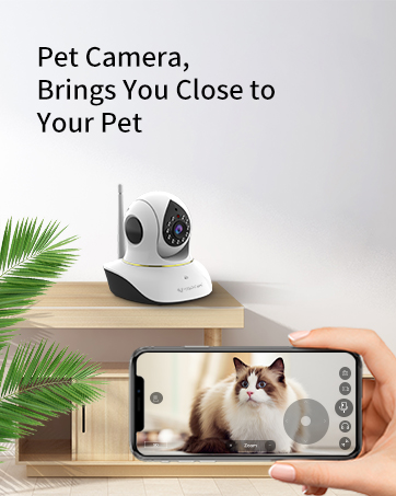 cat camera