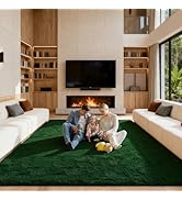 Ehayx Dark Green 9x12 Area Rug for Living Room, Soft Fluffy Large Rugs for Bedroom, Shag Non-Slip...