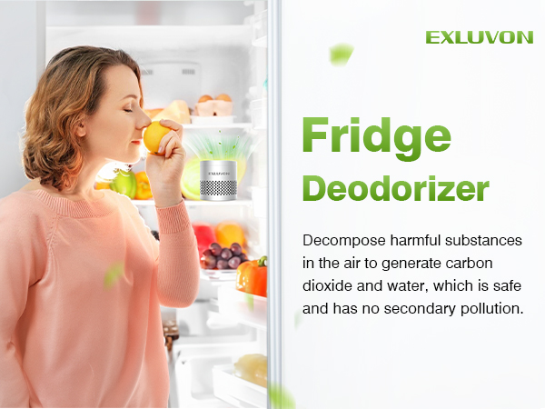 fridge deodorizer