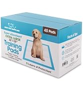 Best Pet Supplies XL (36 x 28 Inches) Puppy Pads 40 Count - Super Absorbent Dog Training Pads, Qu...