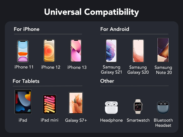 battery charger with wall plug