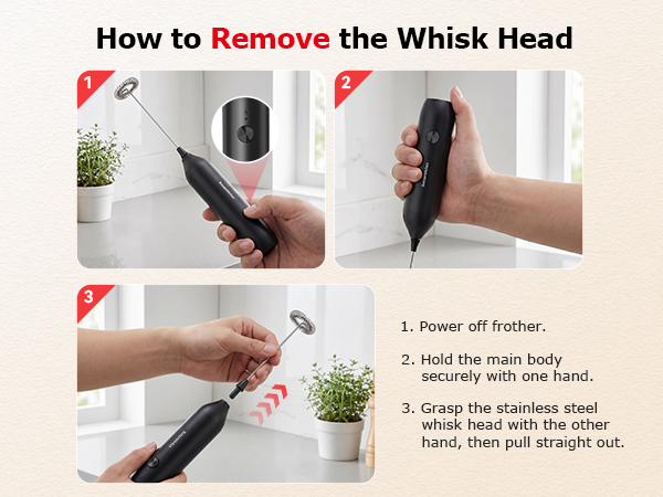 milk frother handheld