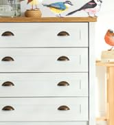 DECOWALL DS2-8038 Little Birds Kids Wall Stickers Wall Decals Peel and Stick Removable Wall Stick...