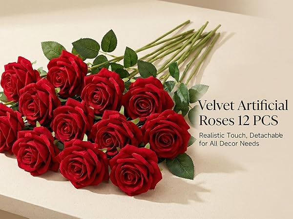 red roses 01