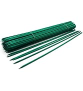 Royal Imports Green Wood Plant Stake, Bamboo Floral Gardening Sturdy Support Picks, Wooden Sign P...