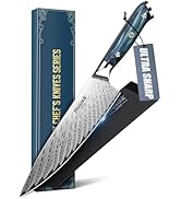 Huusk Japanese Chef Knife, 8" Stainless Kitchen Knife with Ergonomic Resin Handle & Sheath, Sharp...