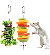 Coalinker Rat Foraging Toys 2 Pack, 304 Stainless Steel Rat Enrichment Vegetable Fruit Feeder for...