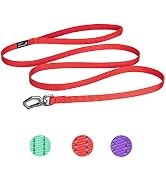 EXCELLENT ELITE SPANKER Nylon Dog Leash Basic Style 5 Feet Long 1/2" Wide Rope for Small Pets Dog...