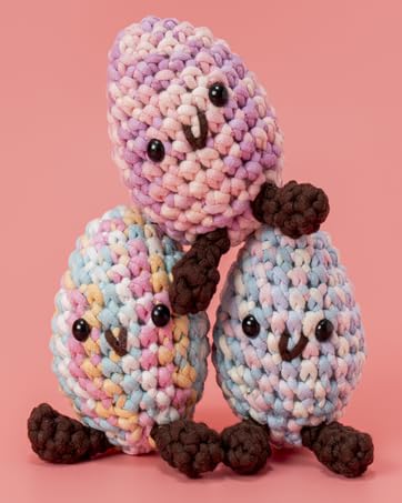 Crochet Kit for Beginners