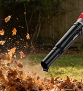 small leaf blower