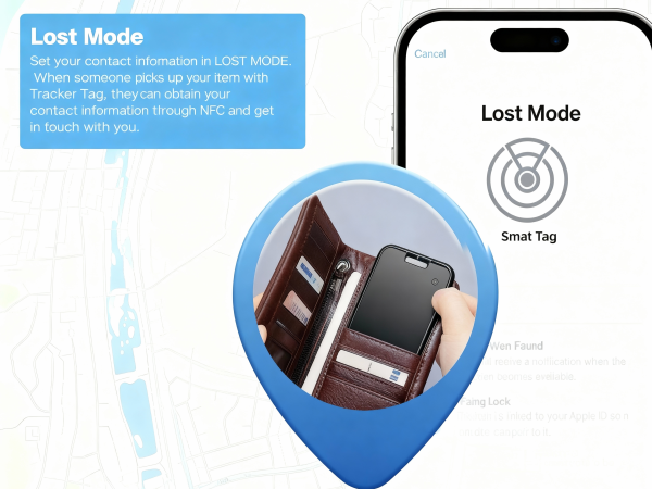 lost mode