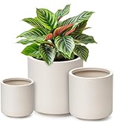 homenote Flower Pots 13.2/10.5/8.5 Inch,Large Plant Pots Indoor with Drainage,Plastic Pots for Pl...