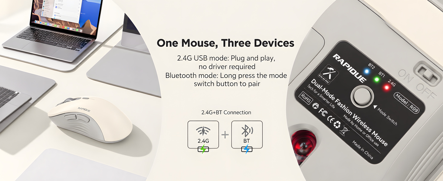 R09 mouse