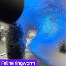 1.