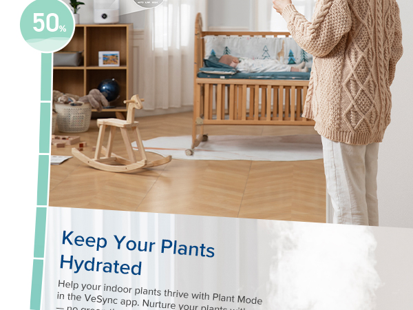 keep your plants hydrated