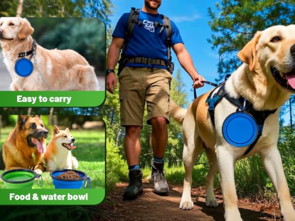 dog bowls water