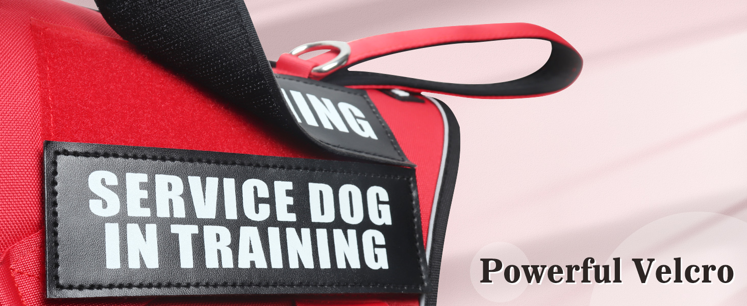 dog patches red