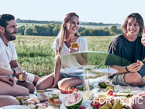 PICNIC