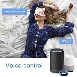 alexa voice control