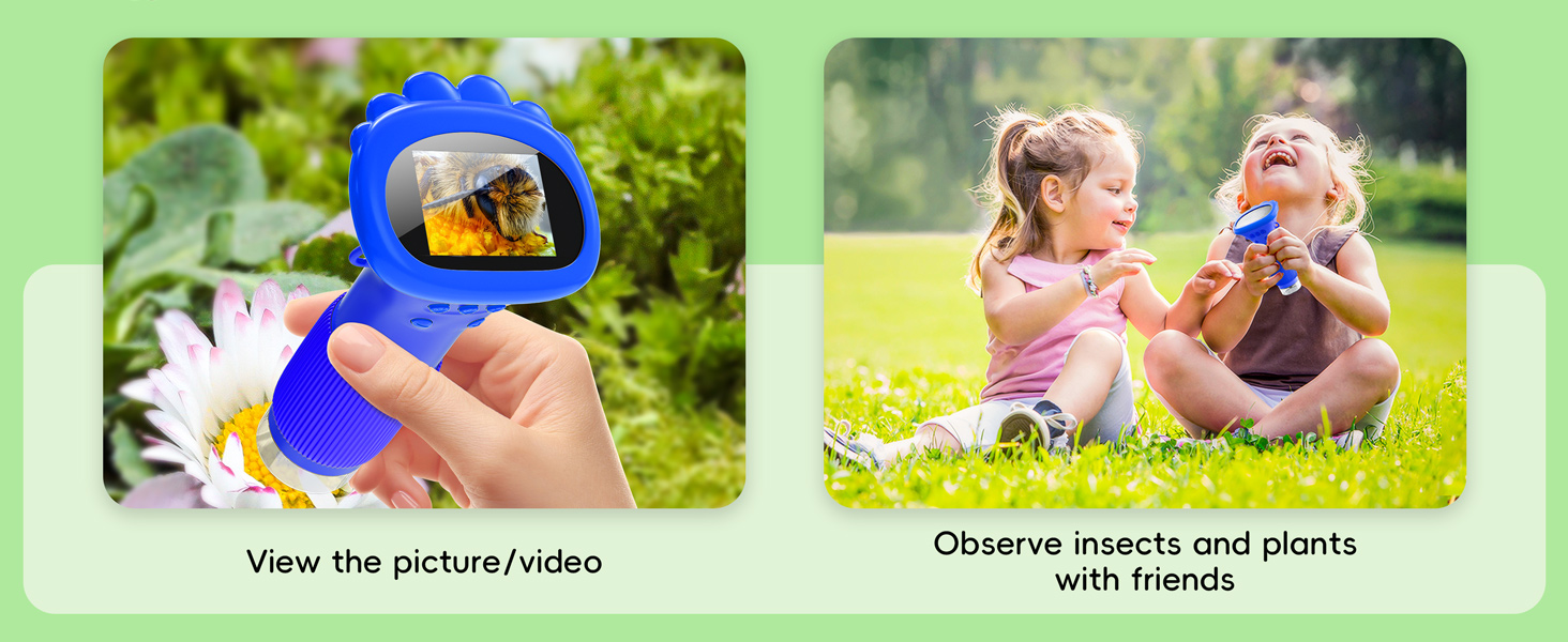 Text reads 'View the picture/video' and 'Observe insects and plants with focus'. Two-panel educational illustration showing nature observation activities.