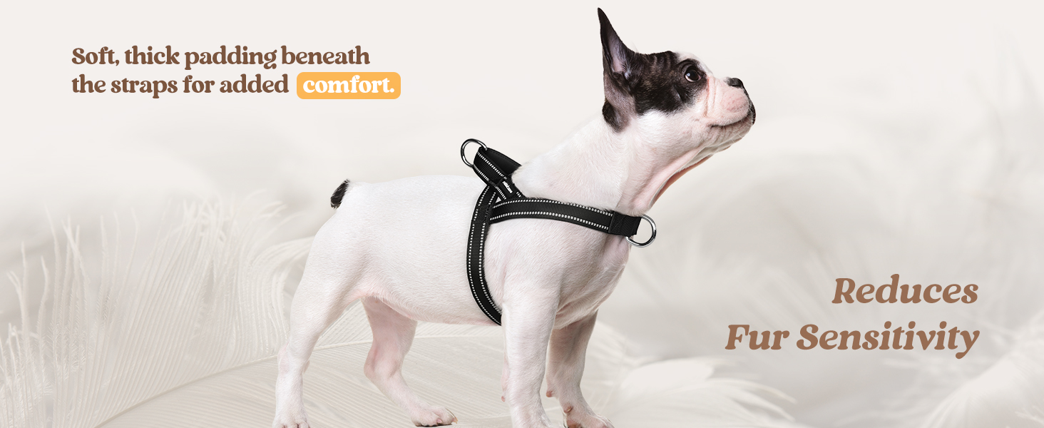 dog harness