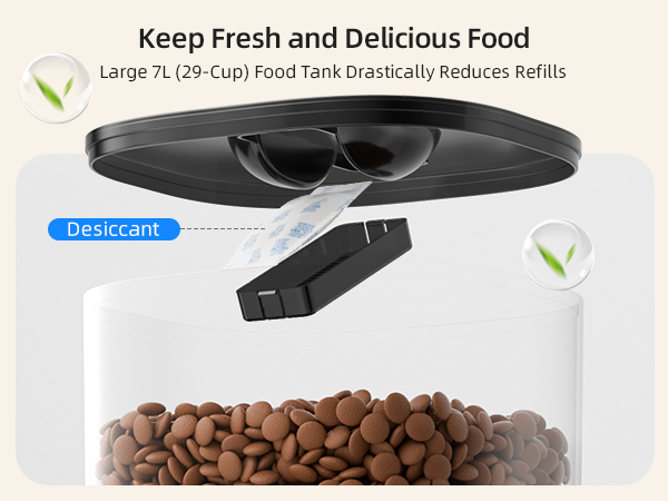 automatic cat feeder