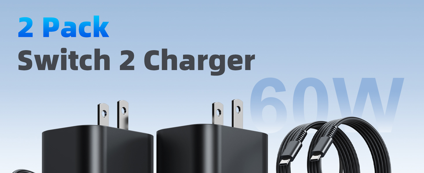 switch 2 charger