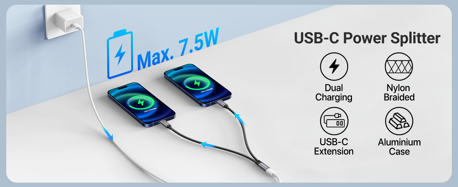 USB C Splitter 1 Female to 2 Male