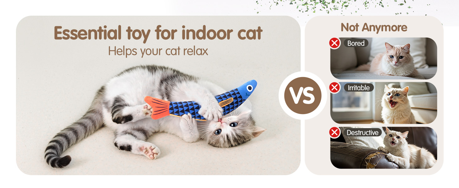 kitten toys