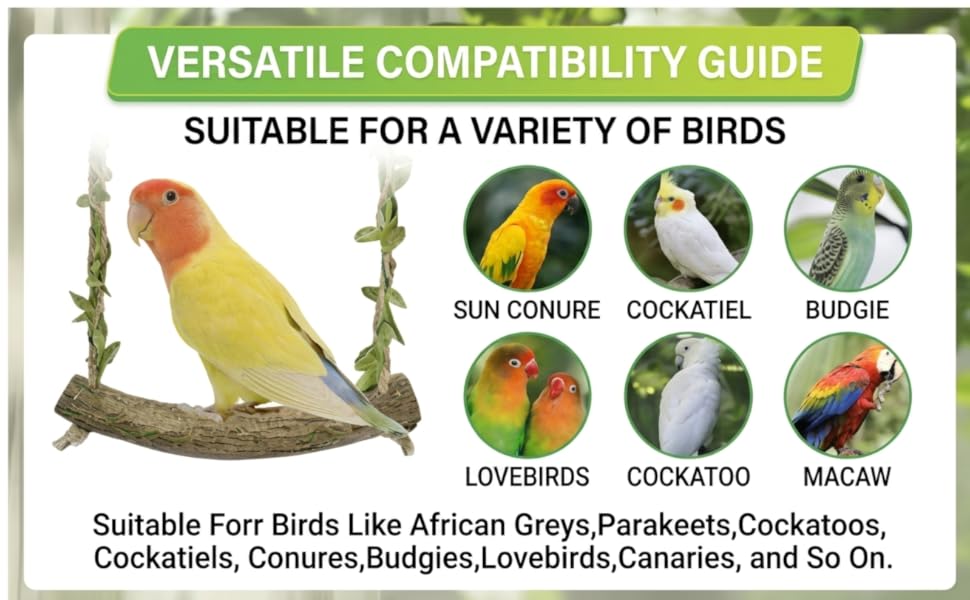 bird swings