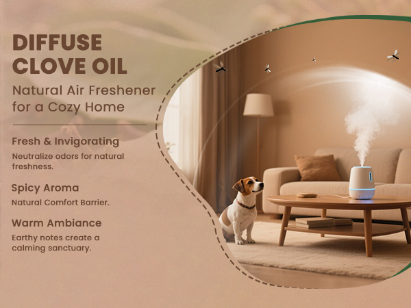 Text reads 'CLOVE OIL', 'Natural Air Freshener for a Cozy Home', 'Fresh & Invigorating', 'Warm Ambiance', 'Spicy Aroma'. Brown-toned promotional banner for home fragrance product.