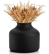Goaste Metal Matte Flower Vase, Small Black Vase for Flowers, 6.5 Inch Tall Iron Frosted Flower A...