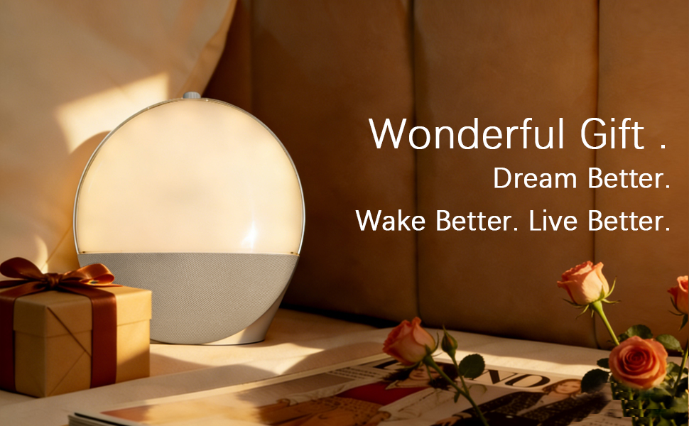 Christmas gift, gift