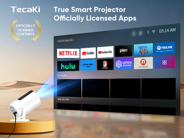 Netflix projector