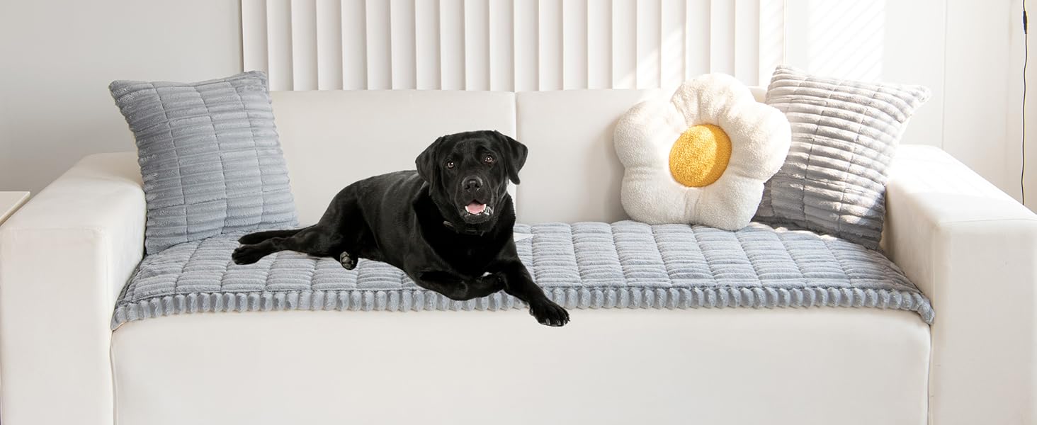 light grey couch cover