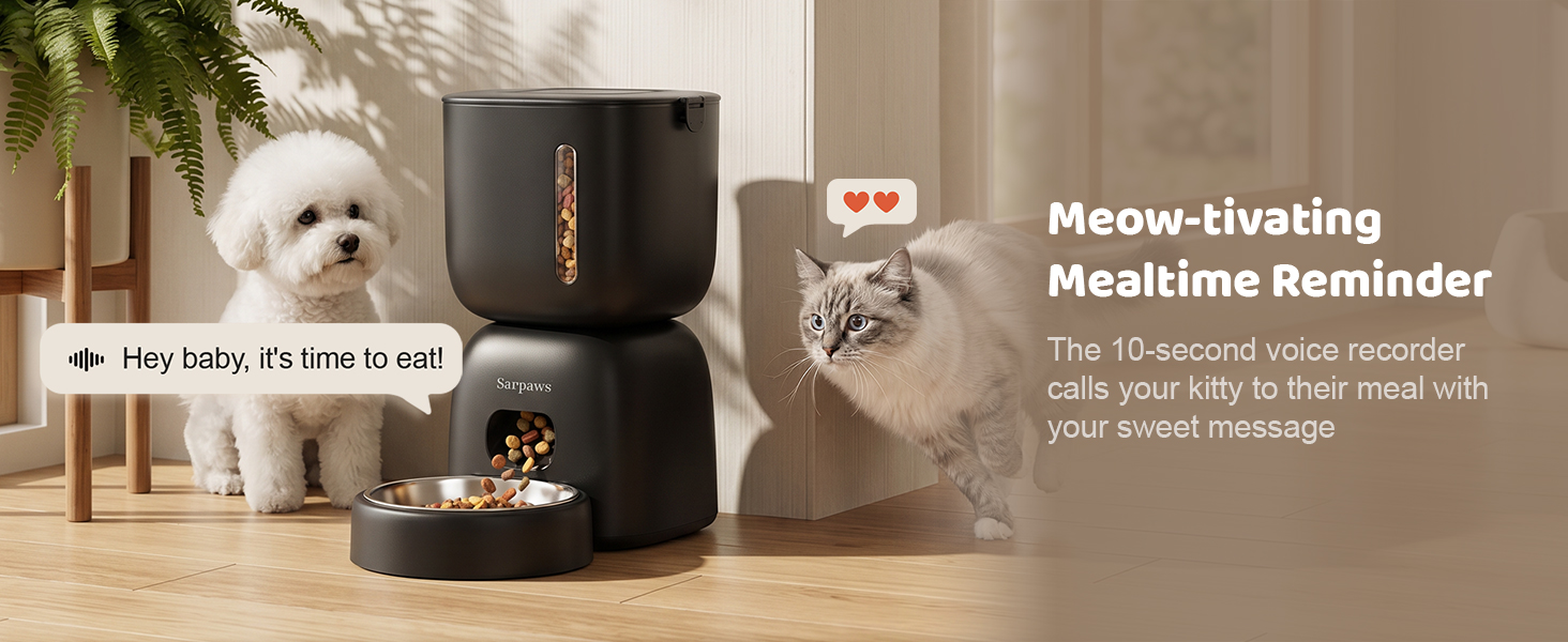 automatic feeder,cat food feeder,cat treat dispenser,timed cat feeder