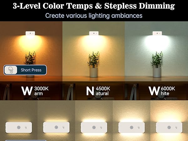 Wall Light