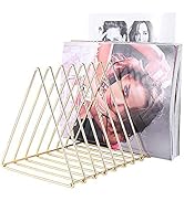 Urban Deco Triangle Desk Organizers Metal Wire Magazine Holder 10 Sections Decorative File Folder...