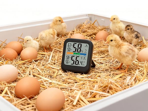 humidity monitor