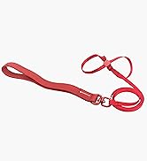 BuddyArmor Cat Harness and Leash 2-in-1, Escape Proof Anti-Chocking Harness Adjustable Lighweight...
