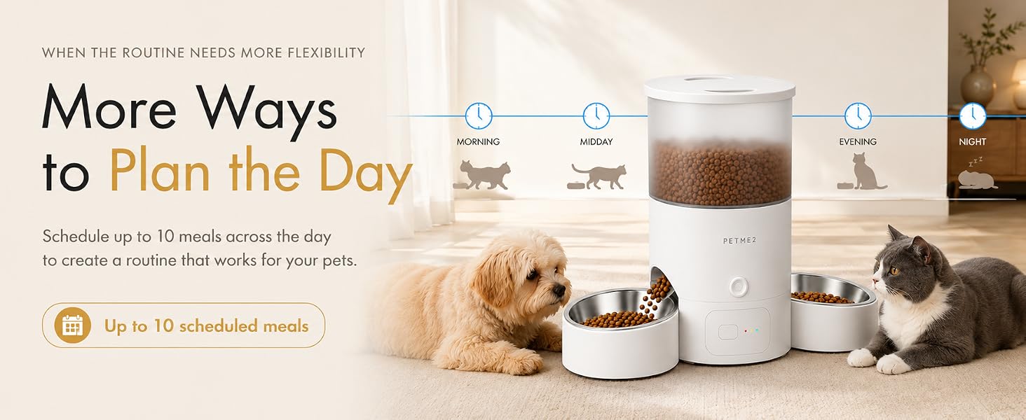 Automatic Cat Feeder