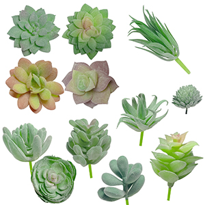 Artificial Succulent Plant