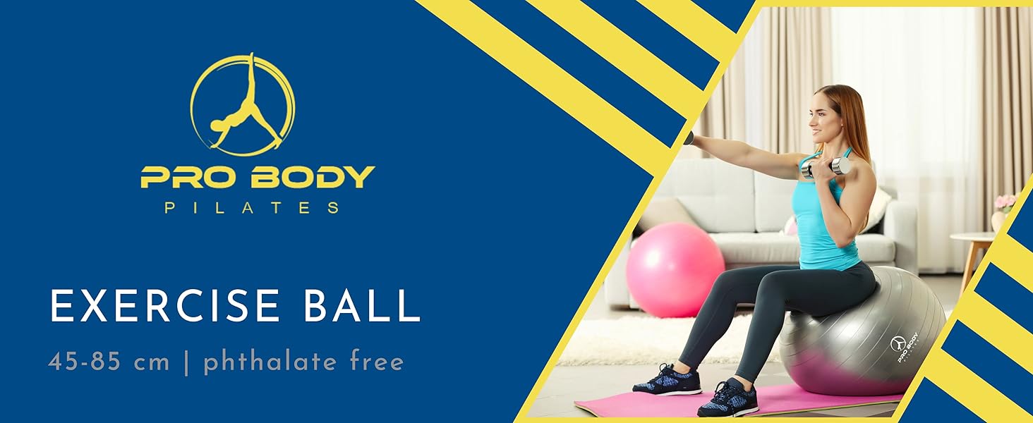 exercise balls accessories ball chair office back pregnancy ball exercise labor pregnancy ball