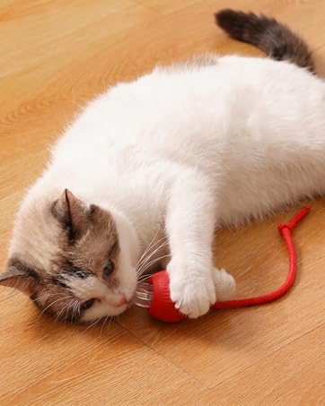 Automatic cat toy rolling ball engaging a cat for active play and mental stimulation.