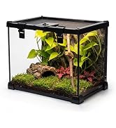 NEPTONION 20"x12"x14" Mini Reptile Glass Terrarium, Top-Opening Full-View Vivarium with Escape-Pr...